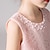 cheap Party Dresses-Kids Girls&#039; Embroidery Flowers Dress Floral Lace Party Princess Solid Colored Causal White Purple Blushing Pink Mesh Lace Tulle Cute Sweet Dresses 3-12 Years