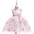 cheap Party Dresses-Kids Little Girls&#039; Dress Floral  Party Print Princess Tulle Dress FlowerPegeant Layered Floral Bow White Pink Lace Tulle Cotton Sleeveless Fashion Vintage Dresses 2-10 Years