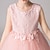 Недорогие Дети-детское платье для девочек, однотонное, с цветочным принтом, без рукавов, вечернее, повседневное, кружевное, многослойное, милое, милое, в сеточку, кружевное, из тюля, розовое платье принцессы для