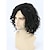 preiswerte Kostümperücke-schwarze Perücken für Damen Herrenperücke schwarze kurze lockige Haare flauschige Cosplay Partyperücke