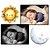 ieftine Monitoare Bebeluși-monitor copil bebelus: 352 x 288; ntsc: 352 x 240 mp pixeli efectivi cmos 75 ° unghi de vizualizare 5 m interval de viziune pe timp de noapte