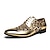 ieftine Oxfords Bărbați-Bărbați Oxfords Pantofi Derby Bullock Pantofi Pantofi rochie Pantofi cu vârful aripilor Afacere Nuntă Petrecere și seară PU Respirabil Non-alunecare Rezistență la uzură Dantelat Argintiu Auriu Leopard
