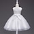 Χαμηλού Κόστους Φορέματα-Νήπιο Λίγο Κοριτσίστικα Φόρεμα Ζακάρ Μονόχρωμο Φόρεμα τούλι Δαντέλα Δαντέλες Λευκό Θαλασσί Βυσσινί Ως το Γόνατο Αμάνικο Κινεζικό στυλ χαριτωμένο στυλ Φορέματα Η Μέρα των Παιδιών 2-8 χρόνια