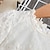 cheap Dresses-Kids Girls&#039; Lace Embroidered Flowers Dress Solid Colored Tulle Dress Lace Blue White Knee-length Long Sleeve Cute Dresses Spring Summer Slim