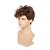abordables Perruques de déguisement-Kaneles mens brown wig court bouclés moelleux synthétique halloween cosplay cheveux perruque pour homme guy