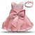 cheap Dresses-Kids Little Girls&#039; Dress Color Block Wedding Party Daily Lace Patchwork Purple Pink Dusty Rose Cotton Knee-length Sleeveless Princess Dresses Summer Regular Fit 3-10 Years / Holiday