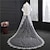 cheap Wedding Veils-Two-tier Lace Wedding Veil Cathedral Veils with Appliques 118.11 in (300cm) Tulle