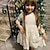 cheap Dresses-Kids Girls&#039; Lace Embroidered Flowers Dress Solid Colored Tulle Dress Lace Blue White Knee-length Long Sleeve Cute Dresses Spring Summer Slim