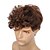 abordables Perruques de déguisement-Kaneles mens brown wig court bouclés moelleux synthétique halloween cosplay cheveux perruque pour homme guy