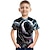 Недорогие 3d футболки мальчика-Мальчики 3D Графика Мультипликация Футболка С короткими рукавами 3D печать Активный Полиэстер Искусственный шёлк Дети 3-12 лет