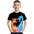 abordables t-shirts 3d pour garçon-T-shirt Tee-shirts Garçon Enfants Manches Courtes Dragon Impression 3D Graphique Flamme Animal Bleu Enfants Hauts Eté Actif Nouveauté Chic de Rue Pâques 3-12 ans