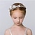 cheap Kids&#039; Headpieces-Kid&#039;s Queen Girls&#039; Wedding / Wedding Party / Theme Party Fashion Transparent / Flower Hair Accessories Alloy / Summer / All Seasons / Headbands / Headbands