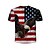 cheap Tops-Boys T shirt Short Sleeve T shirt Graphic Flag 3D Print Active Polyester Kids 4-12 Years 3D Printed Graphic Regular Fit Shirt