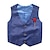 cheap Sets-Boys Clothes Sets Kids Formal Suits Long Sleeve Shirts + Vest + Pants  3PCS Child Tuxedos Outfits