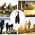 abordables Shorts, collants et pantalons pour hommes-Homme Couleur Unie Graphique À Motifs Shorts de route Cuissard à bretelles de cyclisme Vélo Cuissard à Bretelles Pantalons VTT Vélo tout terrain Cyclisme sur route Des sports Coussin 3D Séchage