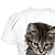billiga T-shirts och skjortor för flickor-Barn Flickor T-shirt Kortärmad Katt Grafisk Djur Regnbåge Barn Blast Aktiv söt stil 3-12 år