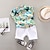 זול סטים-בגדי ריקוד ילדים בנים חולצות טי-שרט &amp; מכנסיים קצרים 2 חלקים לבן כחול נייבי פרח כותנה בסיסי שיק ומודרני יום יומי