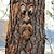 levne zahradní sochy a sochy-zahradní dekorace funning starý muž strom hugger zahradní umění venkovní strom legrační starý muž tvář sochařství náladový strom tvář