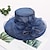 cheap Hats-Women&#039;s Party Party Wedding Special Occasion Party Hat Solid Color Flower Beige Black Hat Portable Sun Protection Ultraviolet Resistant / White / Gray / Fall / Winter / Spring