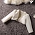 levne Svrchní oděvy-dětský dívčí krajkový svetr s dlouhým rukávem bílý perleťový bílý patchwork jaro léto roztomilý formální 3-12 let / párty / vyšívané / krátké