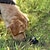 abordables Juguetes para perro-Paquete de 2 juguetes de bolas para perros juguetes interactivos para perros bola de aperitivos bola con fugas para limpiar los dientes de mascotas / masticar / jugar iq treat ball 2,75 pulgadas / 7
