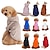 voordelige Hondenkleding-herfst en winter huisdierkleding effen kleur hoed trui huisdier trui teddykleding pluche hondenkleding
