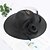 cheap Hats-Women&#039;s Elegant &amp; Luxurious Party Wedding Special Occasion Party Hat Solid Color Flower Black White Hat Portable Sun Protection Breathable / Fall / Winter / Spring / Summer