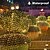 preiswerte Solar Lichterketten-Solar-LED-Netzlichter Lichternetz Außen 8 Modi 200 LEDs 9.8ft x 6.6ft Tree Wrap Mesh Fee Twinkle Lichter für Außenterrasse Rasen Garten Veranda Büsche Campingfenster Weihnachten