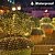 preiswerte LED Lichterketten-Solar-LED-Netzlichter 8 Modi 200 LEDs 9.8ft x 6.6ft Tree Wrap Mesh Fee Twinkle Lichter für Außenterrasse Rasen Garten Veranda Büsche Campingfenster Weihnachten