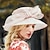 お買い得  パーティーハット-帽子オーガンザバケットハット太陽の帽子ホリデーメルボルンカップ結婚式ちょう結びのかぶと帽子