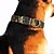 billiga Hundhalsband, selen och koppel-katt hundhalsband glödande sällskapsdjur halsband justerbar / infällbar vattentät säkerhet camo / kamouflage nylon