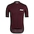 cheap Cycling Clothing-21Grams Men&#039;s Short Sleeve Cycling Jersey Bike Jersey Top with 3 Rear Pockets Breathable Quick Dry Moisture Wicking Mountain Bike MTB Road Bike Cycling Wine Red Black Pink Spandex Polyester Sports
