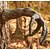 abordables Décor d&#039;Halloween d&#039;extérieur-halloween autonome écorce visage arbre monstre maquillage du visage traits du visage décorations pâques accessoires créatifs
