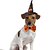 ieftine Costumele-Câini Pisici Bandane &amp; Căciuli Cravată / Papion Modă Drăguţ Iarnă Respirabil Απαλό Lavabil Comfortabil În aer liber Halloween Casul / Zilnic Îmbrăcăminte pentru câini for Bichon Frise Pomeran un