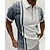 cheap Men&#039;s 3D Zipper Polo-Men&#039;s Collar Polo Shirt Golf Shirt Letter Striped Tartan Standing Collar White Other Prints Going out golf shirts Short Sleeve Clothing Apparel Designer Punk &amp; Gothic / Slim