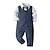 cheap Sets-Kids Toddler Boys&#039; Children&#039;s Day Suit &amp; Blazer Clothing Set 4 Pieces Long Sleeve Blue White Print Cotton Party Formal Basic 2-6 Years / Fall / Spring