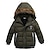 cheap Outerwear-Kids Boys&#039; Down Coat Winter Hoodie Jacket Faux Fur Trim Long Sleeve Green Blue Black Plain Parka 3-6 Years