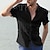 Χαμηλού Κόστους Βαμβακερό Λινό Πουκάμισο-Ανδρικά λινό πουκάμισο Πουκάμισο Καλοκαιρινό πουκάμισο Πουκάμισο παραλίας Μαύρο Λευκό Θαλασσί Κοντομάνικο Σκέτο Γιακάς Καλοκαίρι Άνοιξη Δρόμος Causal Ρούχα