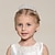 preiswerte Kinderkopfbedeckungen-Kinder Mädchen Diademe &amp; Kronen Haarzubehör Silber Einheitsgröße