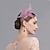 baratos Chapéus e Fascinators-Pena / Rede Fascinadores / Chapéu com Floral 1pç Casamento / Dia da Mulher / Copa Melbourne Capacete