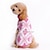 halpa Koiran vaatteet-n / kangasvaatteet pusero pentuvaatteet ruudullinen / tarkista talvikoiran vaatteet pentuvaatteet koiranasut sininen vaaleanpunainen puku tytölle ja poikakoiralle