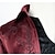 cheap Medieval-Retro Vintage Punk &amp; Gothic Medieval 17th Century Coat Tailcoat Prince Nobleman Men&#039;s Jacquard Masquerade Party Coat