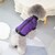 abordables Ropa para perro-pet clothes dog clothes autumn and winter clothes bullfight coat teddy small dog pet clothes 21 pull button cotton vest
