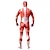 cheap Zentai Suits-Eren Yeager Cosplay Costume Skin Suit Bodysuits Men&#039;s  Muscle Suits Scary Costume Onesie Zentai Catsuit Carnival Halloween