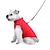 billiga Hundkläder-hundkläder fluffig dragkedja enkelkappa väst stil höst och vinter tröja husdjur kläder