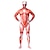 cheap Zentai Suits-Eren Yeager Cosplay Costume Skin Suit Bodysuits Men&#039;s  Muscle Suits Scary Costume Onesie Zentai Catsuit Carnival Halloween