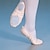abordables Zapos de ballet-Mujer Zapatillas de Ballet Practica Trainning Zapatos de baile Rendimiento Yoga Suela Dividida Estilo Simple Un Color Tacón Plano Banda Elástica Sin Cordones Negro Rosa Color Camello / Chica