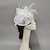 cheap Fascinators-Fascinators Hats Headpiece Feathers Net Saucer Hat Wedding Horse Race Ladies Day Melbourne Cup Cocktail With Feather Cap Headpiece Headwear