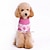 halpa Koiran vaatteet-n / kangasvaatteet pusero pentuvaatteet ruudullinen / tarkista talvikoiran vaatteet pentuvaatteet koiranasut sininen vaaleanpunainen puku tytölle ja poikakoiralle