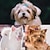abordables Ropa para perro-gato collar de perro ropa de cachorro corbata / pajarita bowknot cosplay fiesta de cumpleaños boda cumpleaños de navidad ropa para perros ropa para cachorros trajes para perros blanco negro traje